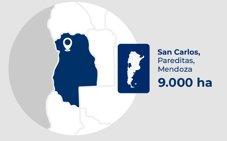 San Tonino S.A.